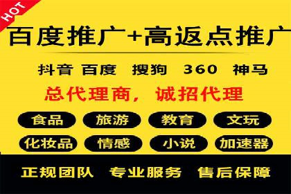 顶尖SEM竞价代运营公司案例分析