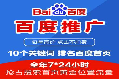 百度竞价包年推广策略深度解读与案例分析